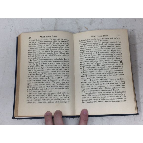 Zane Grey - Wild Horse Mesa - Western Hardcover Book - Picture 9 of 16